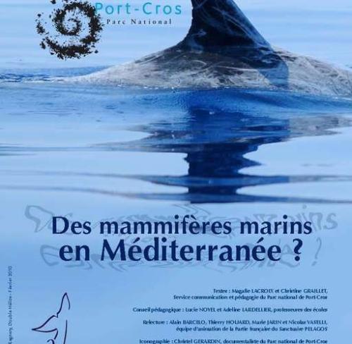 exposition-des-mammiferes-marins-en-mediterranee_format_512x500.jpg