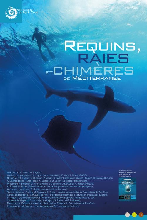 exposition-requins-raies-et-chimeres-de-mediterranee.jpg
