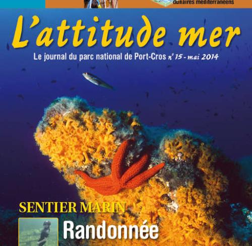 l-attitude-mer-le-journal-du-parc-national-de-port-cros.-n-15_format_512x500.jpg