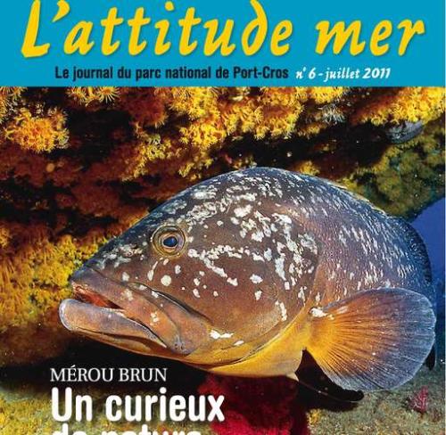 l-attitude-mer-le-journal-du-parc-national-de-port-cros.-n-6_format_512x500.jpg