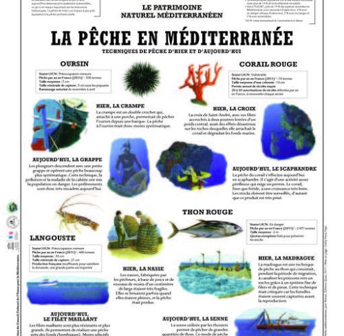 la-peche-en-mediterranee-techniques-d-hier-et-d-aujourd-hui_format_512x500.jpg