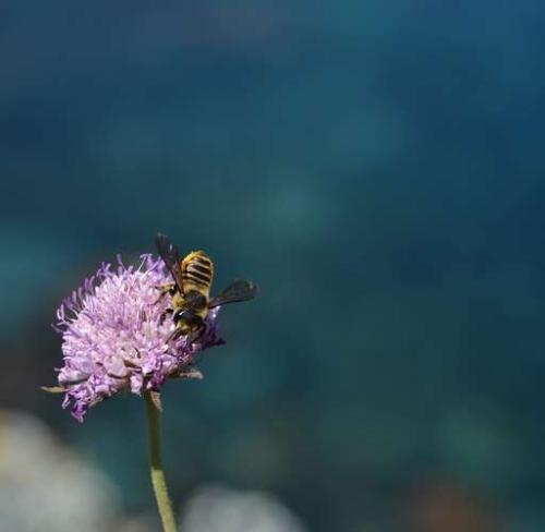 memento-de-l-habitant-eco-responsable_format_512x500.jpg