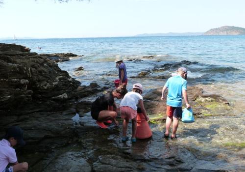 Domaine du Rayol - Pieds dans l'eau
