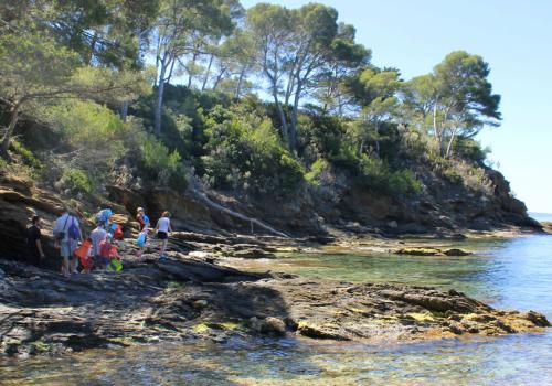 Domaine du Rayol - Pieds dans l'eau