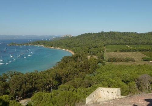 Ile de Porquerolles - Plage de la Courtade vu du fort Ste Agathe