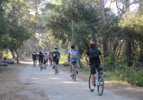 Visite guidée - balade à vélo sur Porquerolles