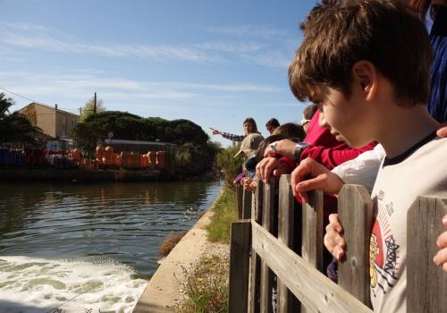 visite guidée au pays du sel salin des pesquiers enfants ludique - visite guidée au pays du sel salin des pesquiers enfants ludique