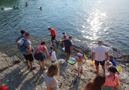 Le petit parcours du littoral - Giens visite guidee enfants avec Fernando Sandoval - Le petit parcours du littoral - Giens visite guidee enfants avec Fernando Sandoval