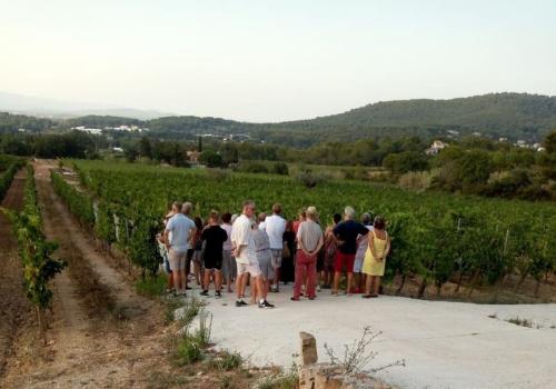Domaine de La Navicelle