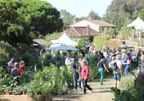 Domaine du Rayol - Gondwana, Fête de l'Automne