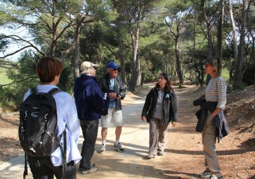 Point rencontre de Porquerolles