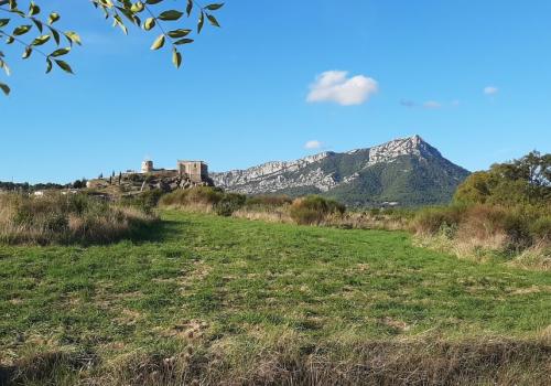 Sortie Botanistes en herbe