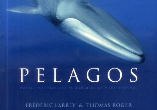 Affiche du film Pelagos - Affiche du film Pelagos