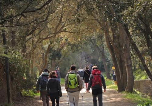 Randonneurs à Porquerolles - Randonneurs à Porquerolles