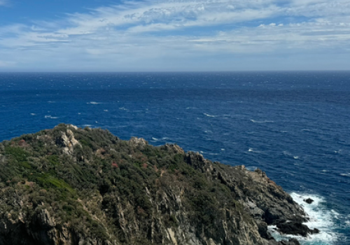 Point Rencontre : Découverte des deux Caps, Cap Lardier et Cap Taillat_La Croix-Valmer