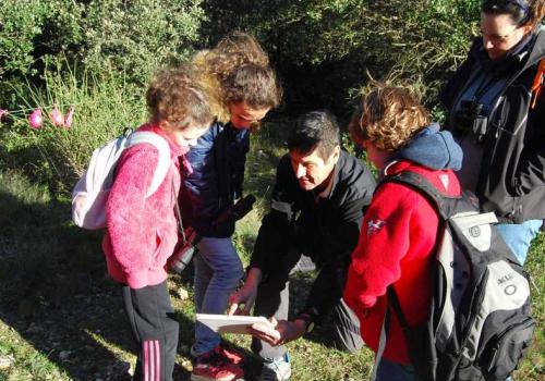 Les petits aventuriers de la forêt_Toulon