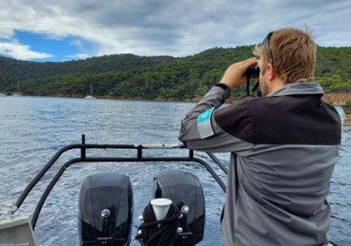 Point rencontre : Les requins en Méditerranée (Porquerolles)_Hyères - Tournée de surveillance en mer