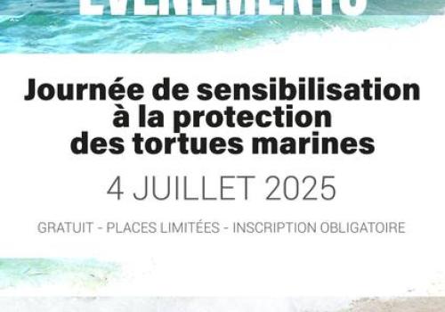 Journée de la Tortue Marine_La Croix-Valmer
