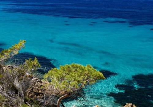 Journée de la mer : Méditerranée, un trésor à protéger_La Croix-Valmer