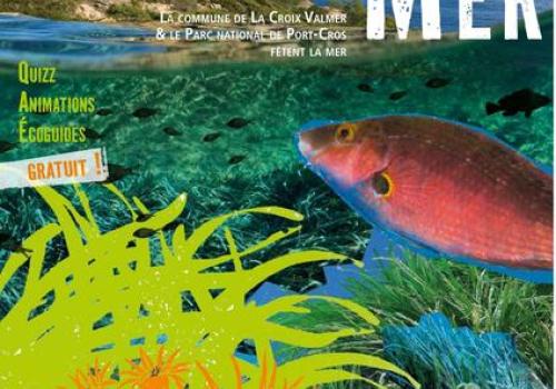 Journée de la mer : Méditerranée, un trésor à protéger_La Croix-Valmer