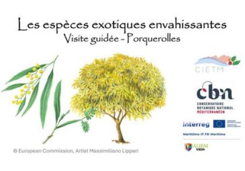 Nature walk on the island of Porquerolles_Hyères