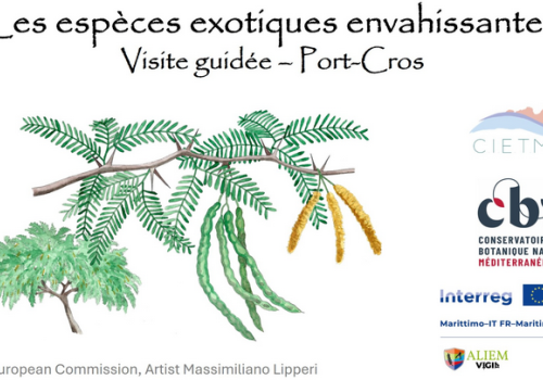 Nature walk Port-Cros: Var treasures under threat_Hyères