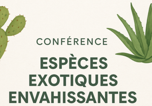 Conférence sur Porquerolles : les espèces exotiques envahissantes_Hyères