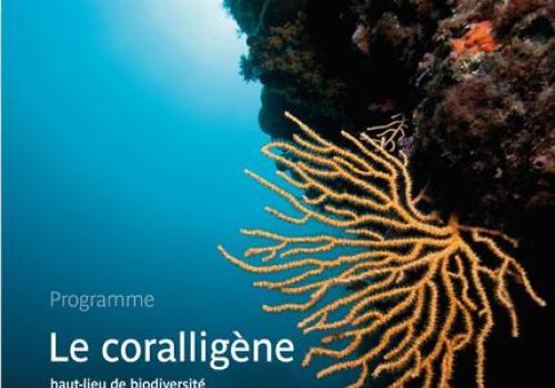 Conférences et table ronde : «Coralligène, qui es-tu ?»_Hyères