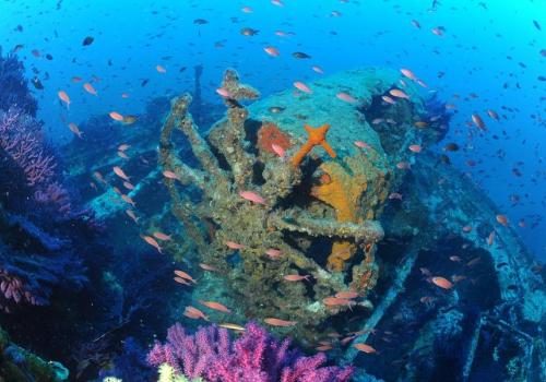 La barre à roue du Donator - PNPC_011856