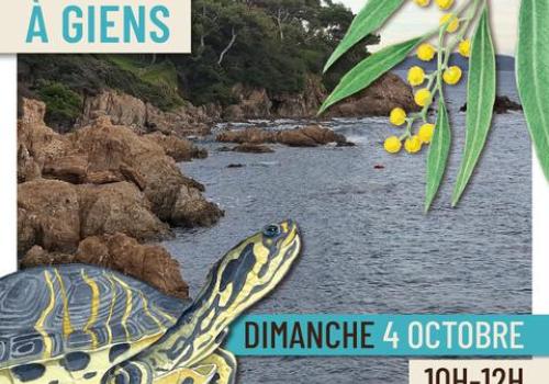 Affiche Balade nature à Giens - Balade nature à Giens - Faune et flore d'ici... et d'ailleurs_Hyères