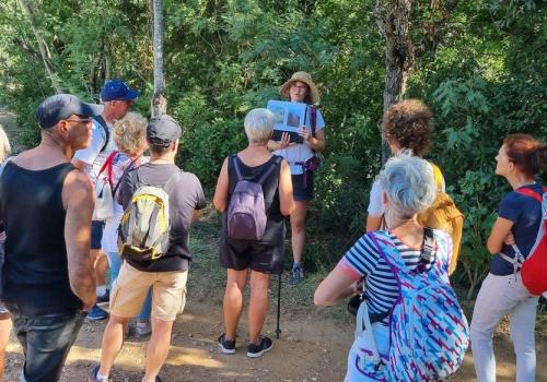 Balade nature à Porquerolles - Faune et flore d'ici... et d'ailleurs_Hyères