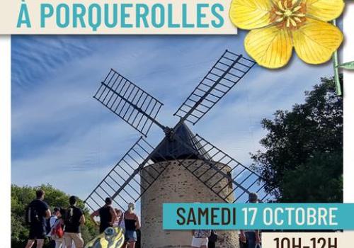 Affiche Balade nature à Porquerolles - Balade nature à Porquerolles - Faune et flore d'ici... et d'ailleurs_Hyères