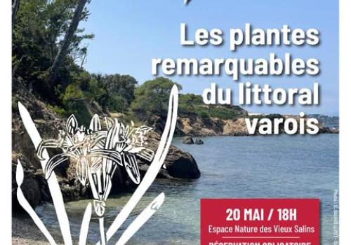 Conférence - Les plantes remarquables du littoral varois_Hyères