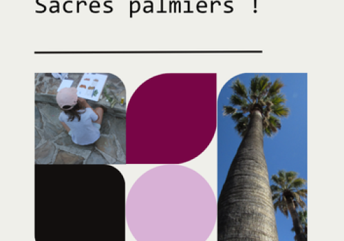 Patrimômes : Sacrés palmiers_Hyères