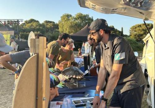 MIDI Festival : les animations écoguides_Hyères
