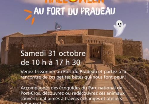 Affiche Halloween au Fort du Pradeau - Affiche pour Halloween