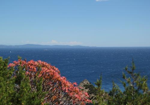 pnpc_001543.jpg