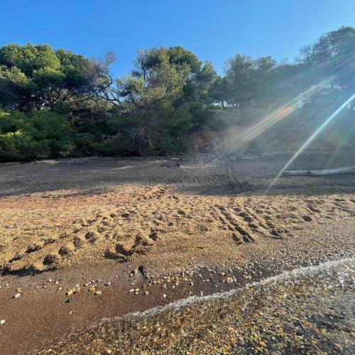 traces sur la plage