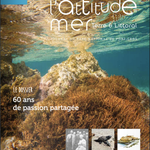 n° 33 L'atitude mer