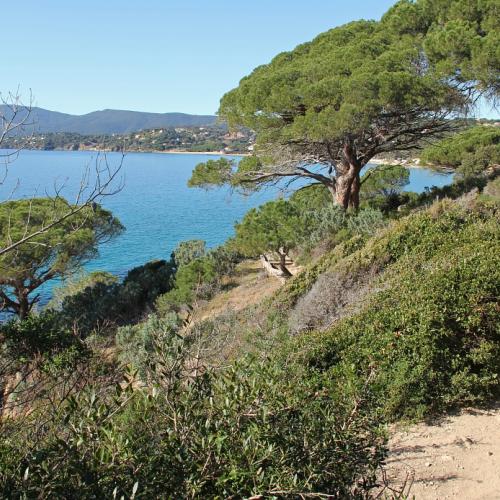 Sur le sentier du littoral (La Croix-Valmer) ©Marie Prézeau