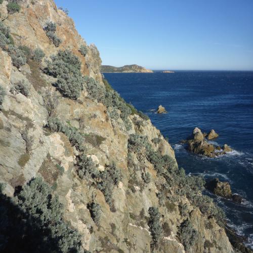 Point de vue sur le Cap Lardier