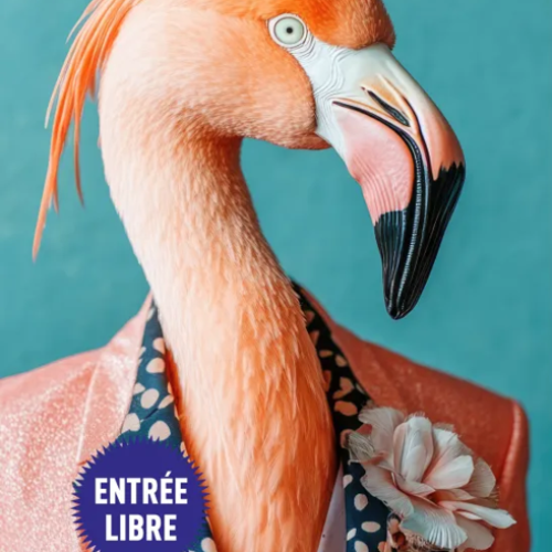 fête des salins