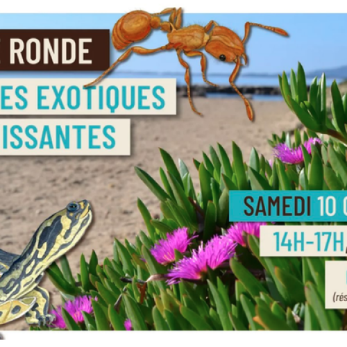affiche table ronde avec horaires et lieu