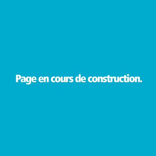 image_page_en_cours_de_construction-.jpg