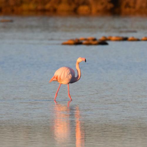 pnpc_vignette-natura2000.jpg