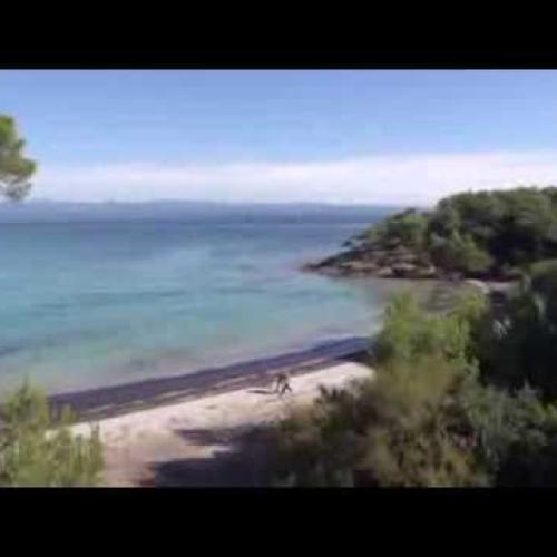 PORQUEROLLES La plage d'Argent accessible à tous 