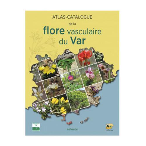 vignette-atlas.jpg