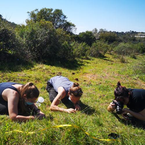 vignette-bts-gpn.jpg