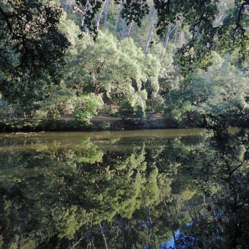 vignette-destination-parc.jpg
