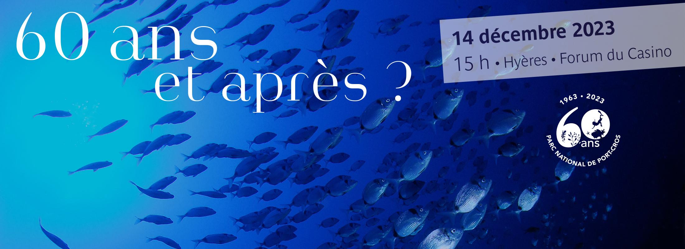 Projection et table ronde du 14 décembre
